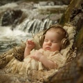 Music For Plants、Noise of Water、Moon Tunes - Gentle Stream Dreams
