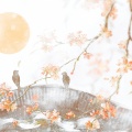 绾泠jojoy - 长相思
