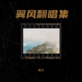 翼风 - 你到底有没有爱过我