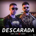 James Lover、Flowery - DESCARADA