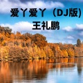 王礼鹏 - 爱丫爱丫 (DJ版)