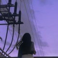 数过日落 - 达尔文