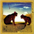 Marconi - Dropped
