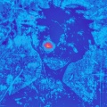Snipper Music、Arctic - Forrofunk