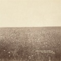 The Milk Carton Kids - Snake Eyes