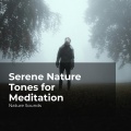 Sleep Sounds of Nature、Nature Sounds Nature Music、Nature Sounds - Rhythmic Ocean Waves