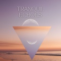 Paulo Music - Endurance Ensemble