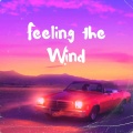 Isisambient - Feeling the Wind