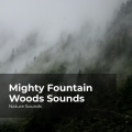 Sleep Sounds of Nature、Nature Sounds Nature Music、Nature Sounds - Enchanted Rainforest