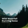 Forest Sounds、Ambient Forest、Rainforest Sounds - Rain Forest Relaxation