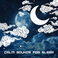 Surrounding Life、Sleepy Sine - Sleeping Music (Calm Sleep)