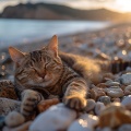 Canciones de gatos、Relajación del gato、Musica para Hoteles - La Gracia De Los Gatos Cerca De Arroyos Suaves