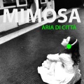 Mimosa - Aria di città