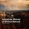 Sleep Sounds of Nature、Nature Sounds Nature Music、Nature Sounds - Euphonious River Flowing