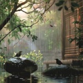 Spa Wind、Sound Bath、Storm Machine - Raindrop Massage Rhythms