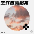 王许多 - 盛世烟花