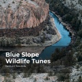 Nature Sounds、Sleep Sounds of Nature、Nature Sounds Nature Music - Quiet Wilderness
