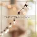 Enea Dj - Shine On