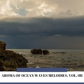 Eric Library of Nature Sounds - Ocean of the Raining Water
