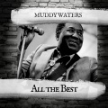 Muddy Waters - I Feel Like Going Home