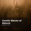 Sleep Sounds of Nature、Nature Sounds Nature Music、Nature Sounds - Tranquil Ocean Water