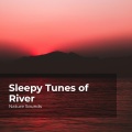 Sleep Sounds of Nature、Nature Sounds Nature Music、Nature Sounds - Melodic Flowing River