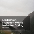 Natural Rain Sounds for Sleeping、Rain Storm Sample Library、Rain Sounds - Experience Rainy Day