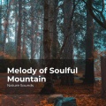 Sleep Sounds of Nature、Nature Sounds Nature Music - Deep Into the Wilds