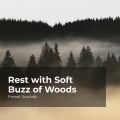 Forest Sounds、Ambient Forest、Rainforest Sounds - Lush Green Paradise