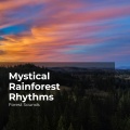 Forest Sounds、Ambient Forest、Rainforest Sounds - Tuneful Rapid Stream