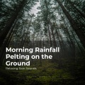 Relaxing Rain Sounds、Rain for Sleep、Rain Drops for Sleep - Calm in Wet Weather