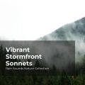 Rain Sounds Nature Collection、ASMR Rain Sounds、Sleepy Rain - Wet Season in Nature