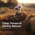 Sleep Sounds of Nature、Nature Sounds Nature Music - Surrounding Woods
