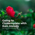 Rain Sounds & White Noise、Raindrops Sleep、Sleep Rain - Tornado in Downpour