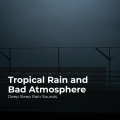 Deep Sleep Rain Sounds、Rain Meditations、Rain Sounds Collection - Nighttime Misty Rain