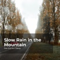 Rainfall For Sleep、Rain Shower、Rain Man Sounds - Zzz in Pouring Rain