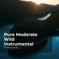 Forest Sounds、Ambient Forest、Rainforest Sounds - Journey in the Forest