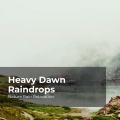 Nature Rain Relaxation、Rain Recorders、Rainfall - Gentle Terrestrial Rain
