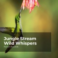 Sleep Sounds of Nature、Nature Sounds Nature Music - Waterfall in the Area