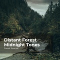 Forest Sounds、Ambient Forest、Rainforest Sounds - Close By the Riverbank