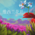 若瑜 - 维西兰花开