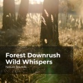 Nature Sounds、Sleep Sounds of Nature、Nature Sounds Nature Music - Surrounding Woodland