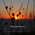 Antrax - Horizontes Dorados