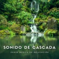 Relajantes sonidos de lluvia - Bajando Al Río