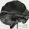 Badlands、jape、Catharina Jaunviksna - My Time Will Come Again (Jape Remix)