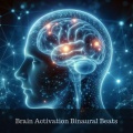 Chakra Healing Music Academy - All Chakras Harmony