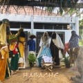 VEI HABACHE - Habache