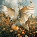 Your Inner Voice、The Outdoor Library、Soothing ASMR - Quiet Bird Haven Gentle Echoes