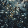 Deep Sleep Music Catalogue、Forest FX、Mental Repose - Tranquil Birds of the Night