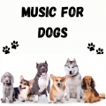 Relaxing Puppy Music、Calm Pets Music Academy、Music For Dogs、Music For Dogs Peace - Please Calm Down